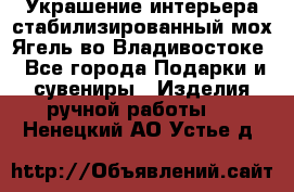 Украшение интерьера стабилизированный мох Ягель во Владивостоке - Все города Подарки и сувениры » Изделия ручной работы   . Ненецкий АО,Устье д.